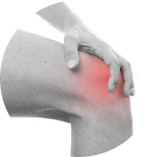 knee